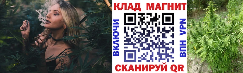 Виды наркоты Южноуральск ГАШ СК Псилоцибиновые грибы Меф Канабис LSD-25 КОКАИН