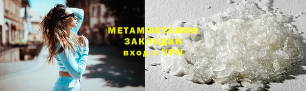 прущие грибы Михайлов