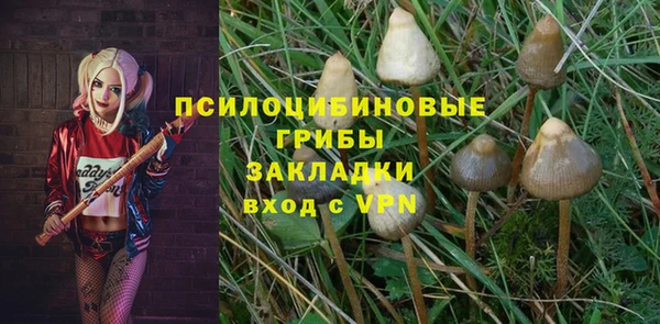 крисы Абаза