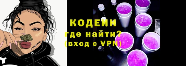 крисы Абаза