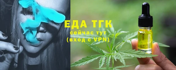 крисы Абаза